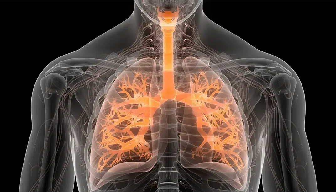 أمراض الجهاز التنفسي
